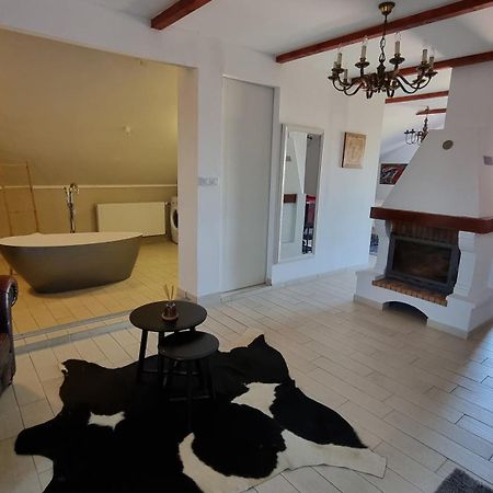 Villa Mons Aureus Popovac Esterno foto