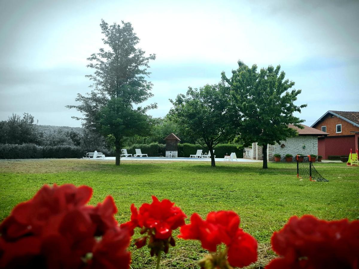 Villa Mons Aureus Popovac Esterno foto