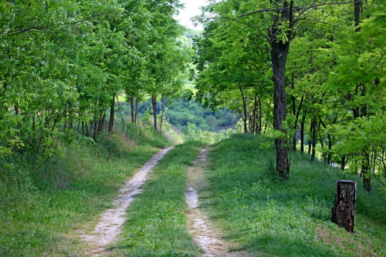 Villa Mons Aureus Popovac Esterno foto