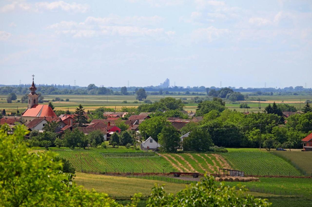 Villa Mons Aureus Popovac Esterno foto